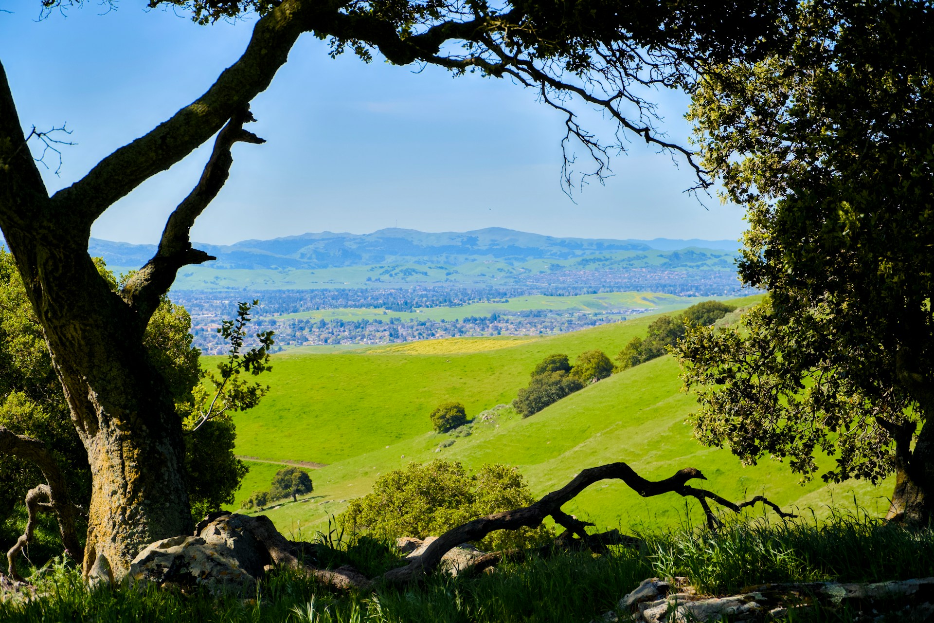 Thousand Oaks California Conejo Valley real estate