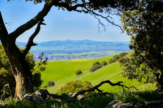 Thousand Oaks real estate